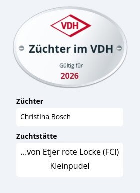 Offizielle VDH Züchterplakette 2026 für die Kleinpudel-Zucht von Etjer rote Locke